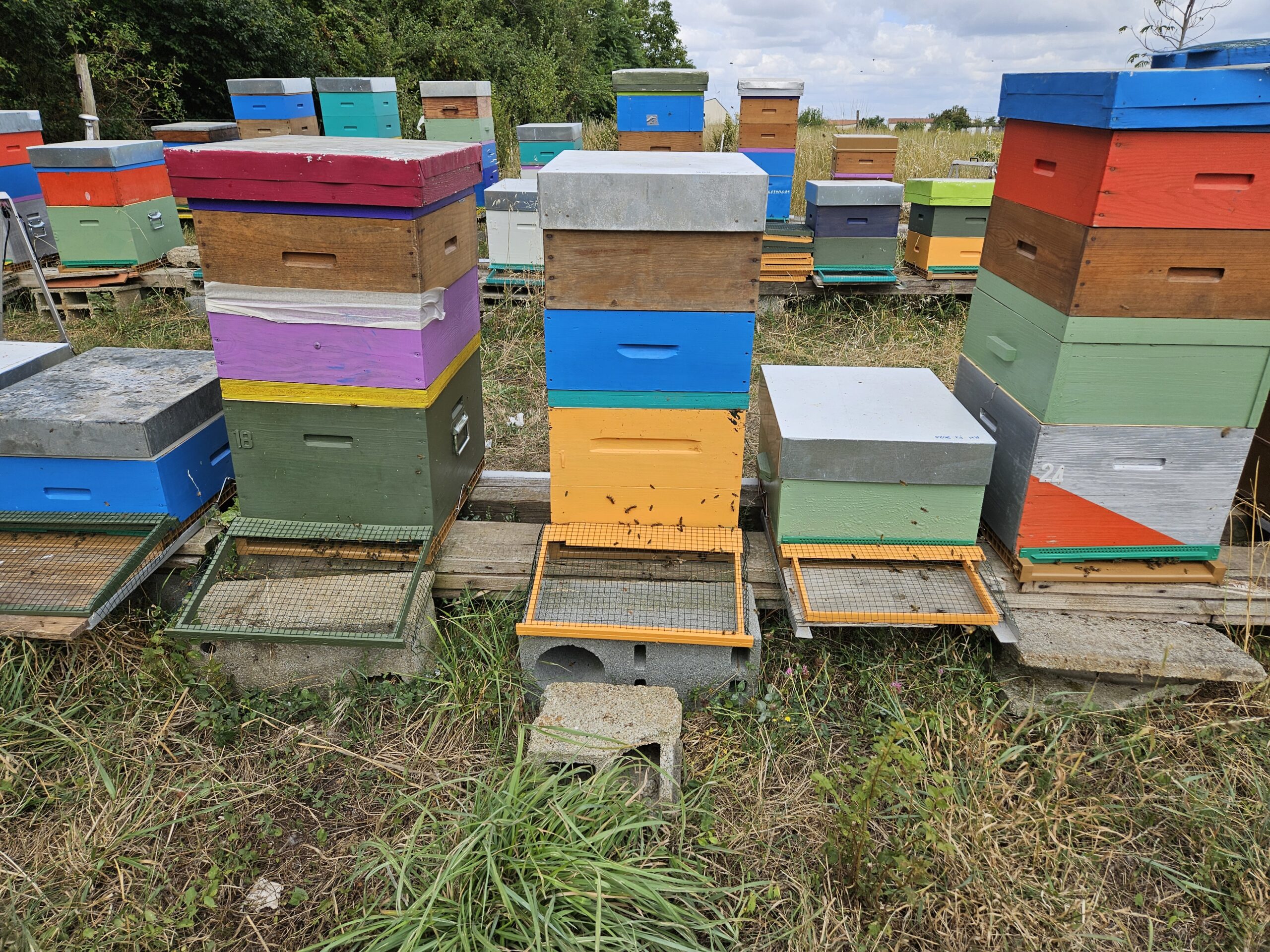 mieldevendee85-ruches